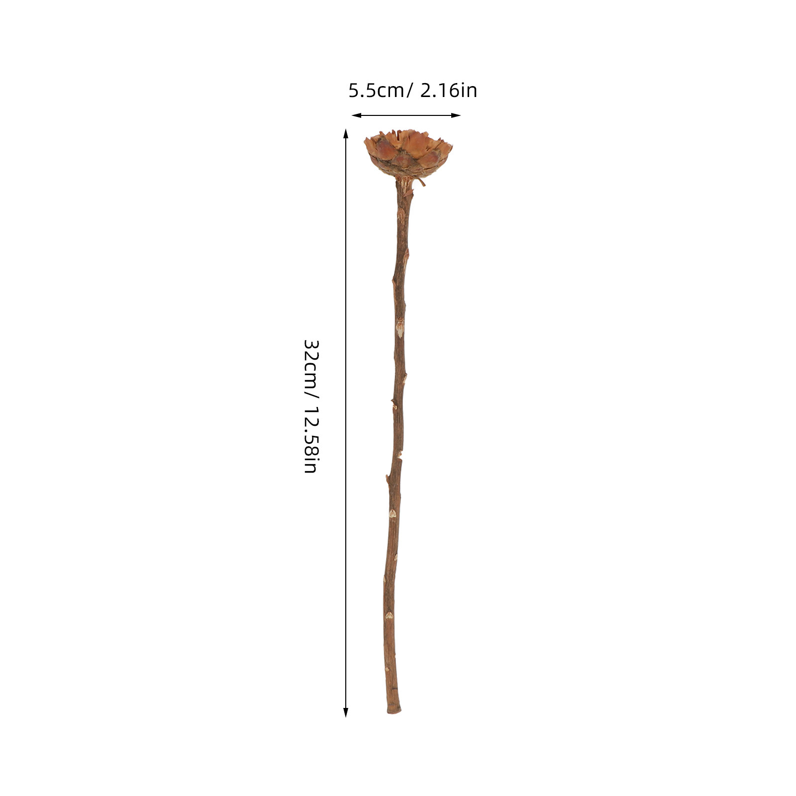 5Pcs Imported Dried Sunflower  - огляд і ціна Lighting Decor Photos